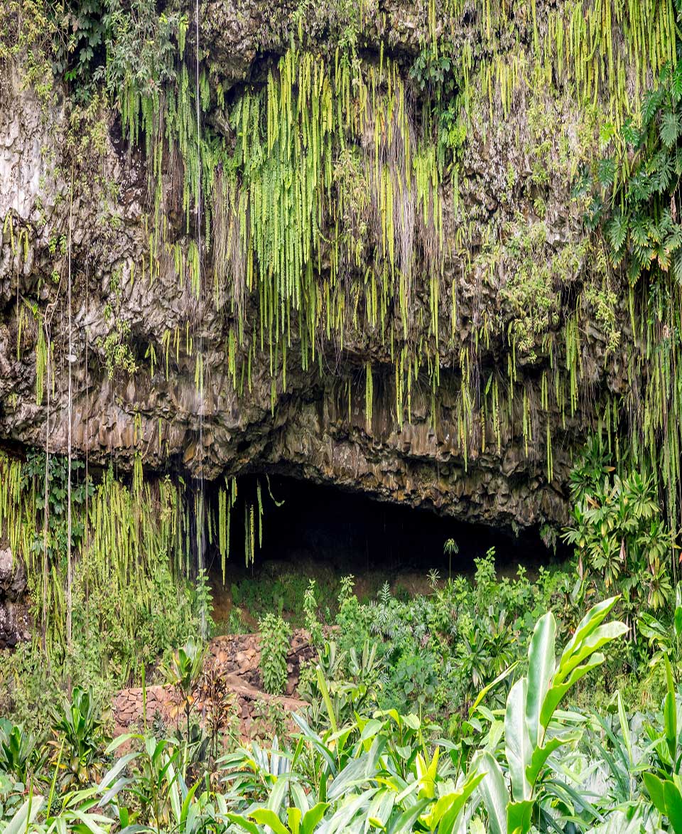 The Fern Grotto, Kauai, HI