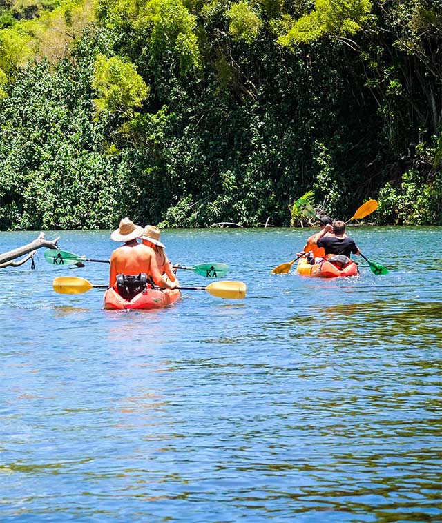 Kayakers paddling on the Wailua River, Kauai with rented kayaks from Pono Kayak Rentals.