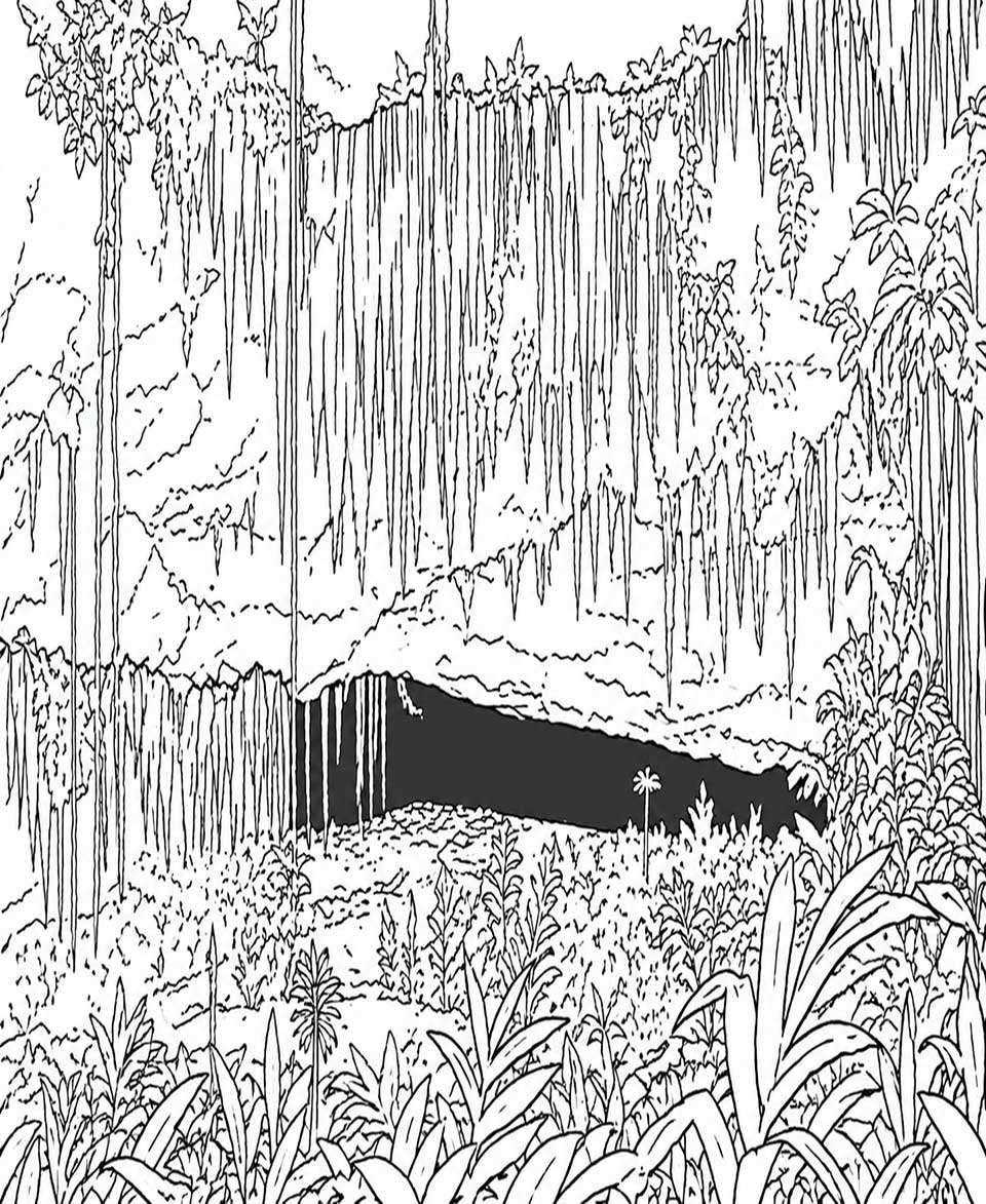 The Fern Grotto, Kauai, HI